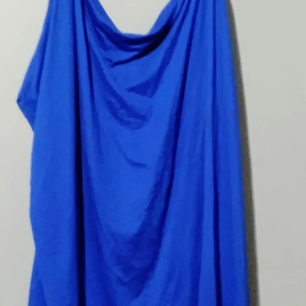 Terra & Sky 5X 32/34 Royal Blue Top - Picture 2 of 3